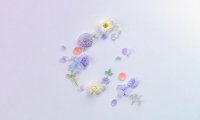openclaw接入抖音电商实战案例