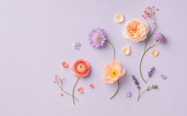openclaw接入抖音电商实战案例