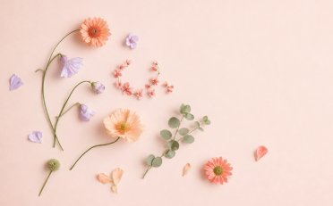 openclaw接入抖音电商实战案例