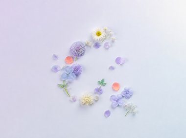 openclaw接入抖音电商实战案例